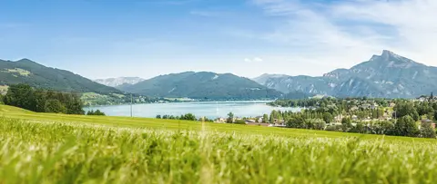 Camp MondSeeLand