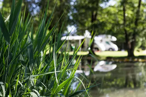 Camp MondSeeLand