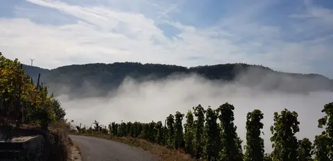 Campingplatz Georgshof