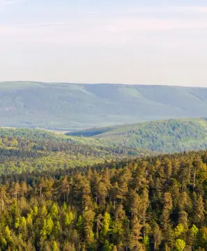 Natur'camp