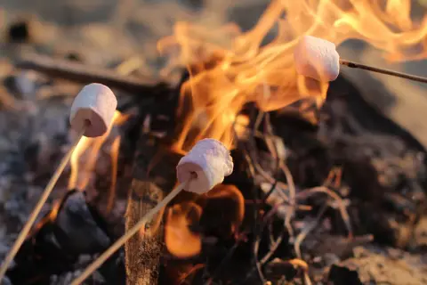 Natur'camp
