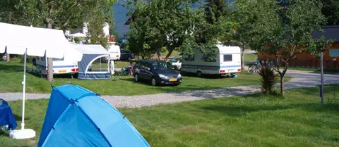 Ponderosa