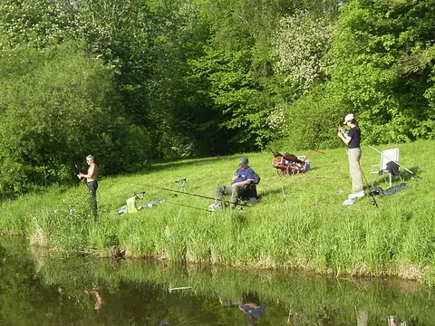 Campingplatz Waldeck