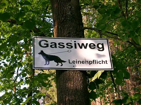 Campingplatz Häsle
