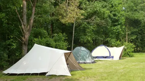 Natuurkampeerterrein Het Hallse Hull