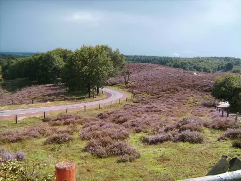Naturistencamping "De Kikker"
