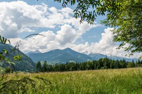 Pürcherhof