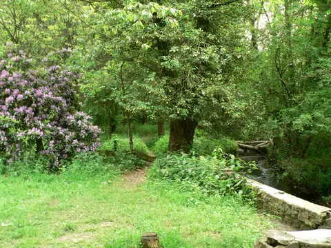 Natur-Camping Hammerbrücke