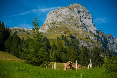 Camping Vorauen