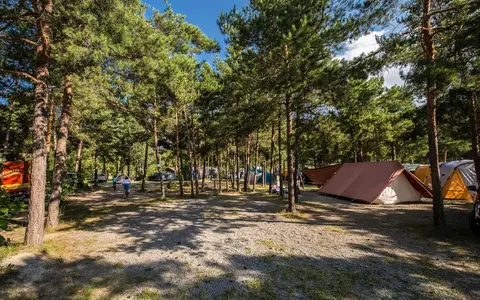 Camping Kiefernhain