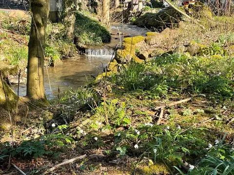 Waldberg Rhön