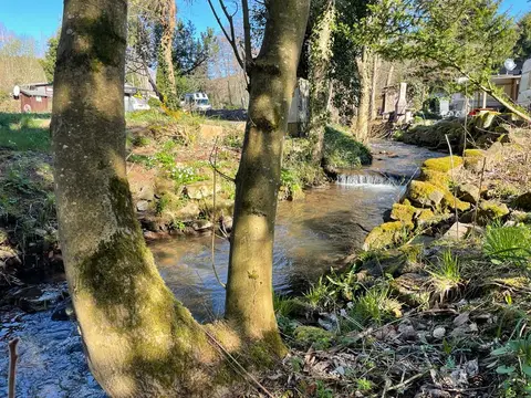 Waldberg Rhön