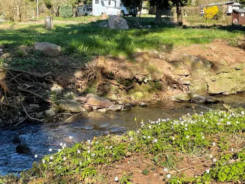 Waldberg Rhön