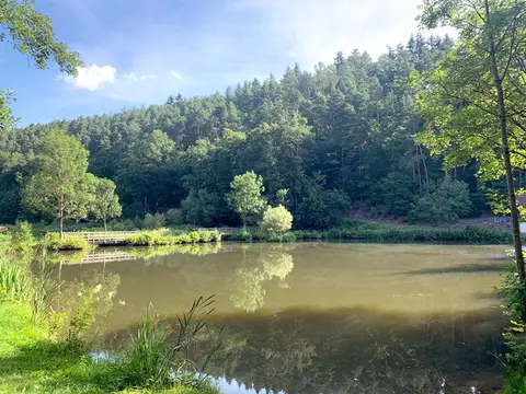 Waldberg Rhön