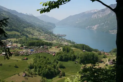 Camping Terza