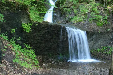 Camping Terza