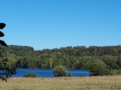 Wohnmobilstellplatz am Borkener See