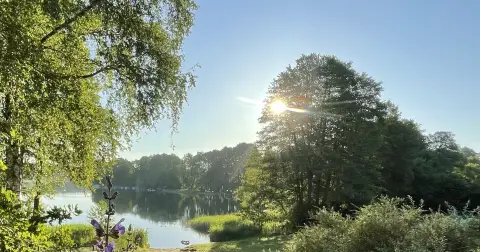 NaturCamping am Ellbogensee