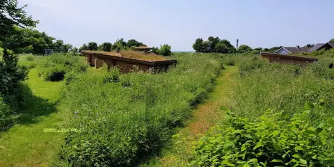 Gedser Naturskole Primi-Camp