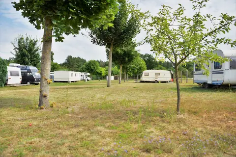 Im Kleinen Elsebusch
