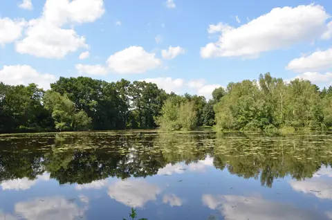 Campingplatz zum alten Mühlenteich