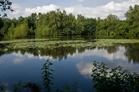 Campingplatz zum alten Mühlenteich