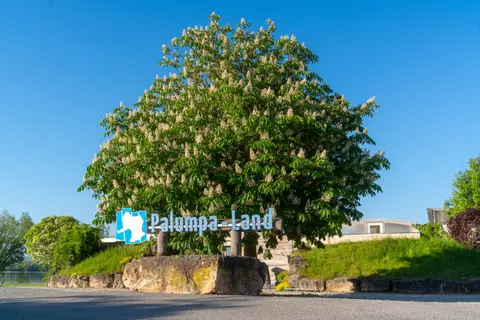 Palumpa-Land