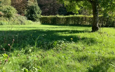 Wildenau Camping