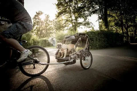 Campingplatz Gohren am See