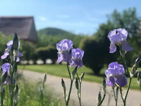 Domaine La Roche d'Ully