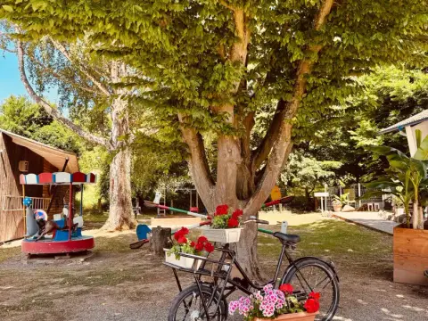 MainCamping Miltenberg