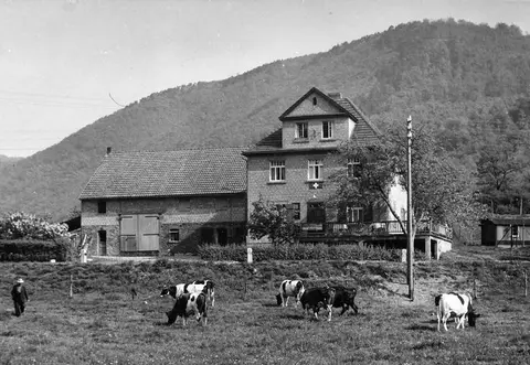 Camping-Park Lahnbogen