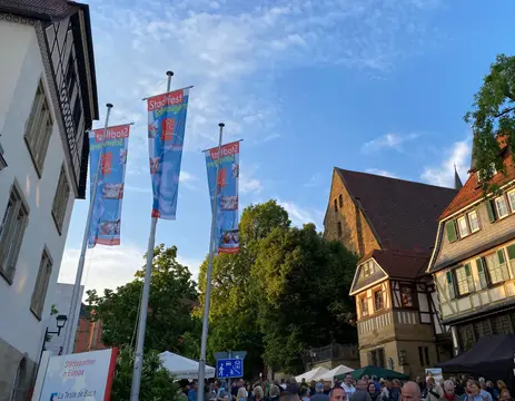 Wohnmobilstellplatz Gemminger Straße - Schwaigern