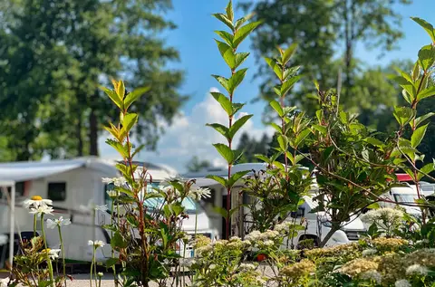 Wohnmobilpark Schwangau