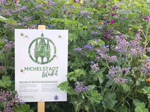 Michelstädter Wohnmobilstellplatz!