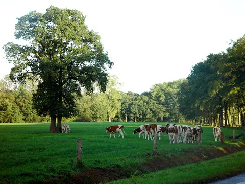Camping De Notenwei