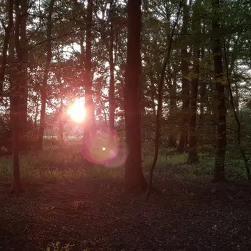 Brinkmannshof