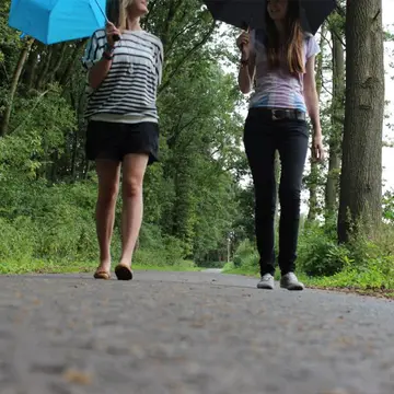 Brinkmannshof