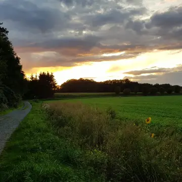 Brinkmannshof