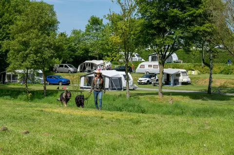 Camping 't Zinkviooltje