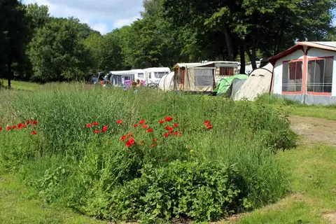 Camping 't Zinkviooltje