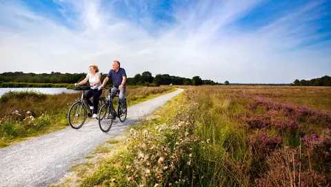Molecaten Park Het Landschap