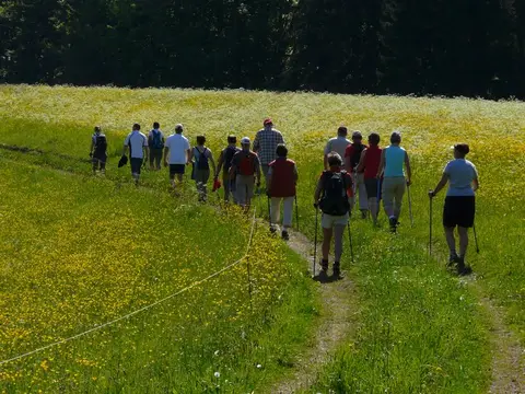 Nordrach Schwarzwald Panorama-Wohnmobilstellplatz