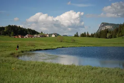 Camping du Rocheray