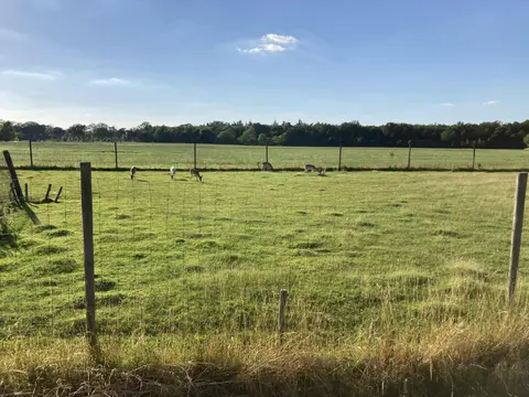Camping de Boomgaard