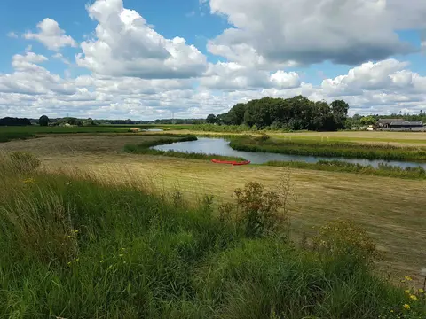 De Scharf