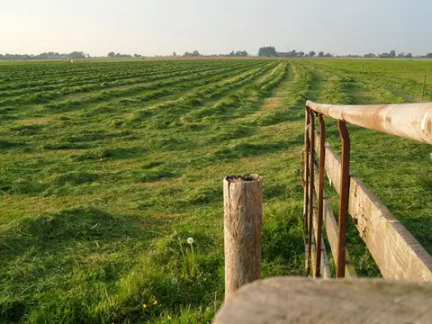 boerderijcamping het Klokhuis