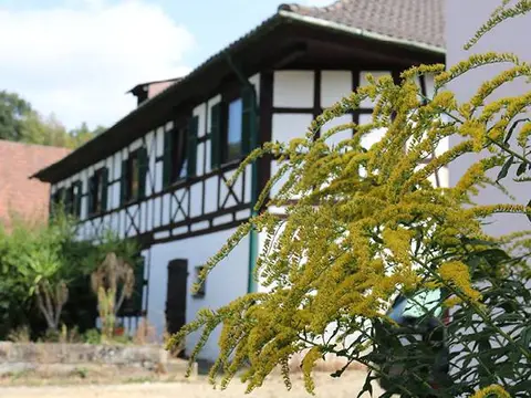 Zeltplatz Ebensfeld