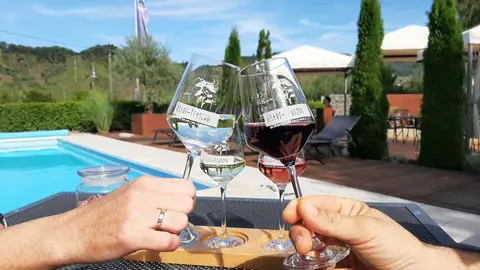 Stellplatz Weingut Oster-Franzen