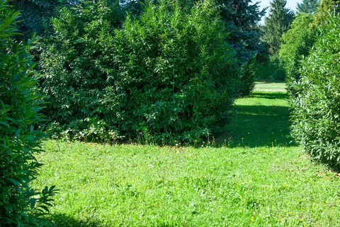 Wohnmobilstellplatz Villa Toskana
